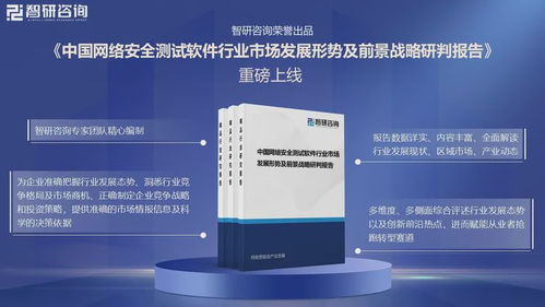 中国网络安全测试软件行业市场竞争格局及未来发展前景研究报告 网络与信息安全软件开发领域深度剖析