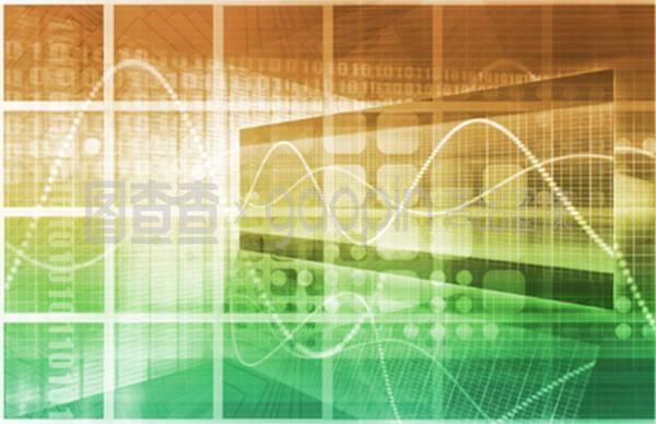 信息技术中的网络与信息安全软件开发